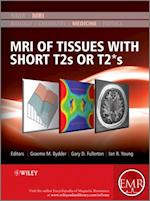 MRI of Tissues with Short T2s or T2*s