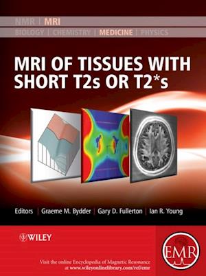 MRI of Tissues with Short T2s or T2*s