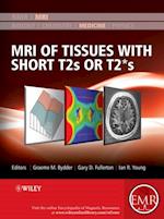 MRI of Tissues with Short T2s or T2*s