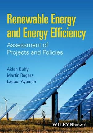 Renewable Energy and Energy Efficiency – Assessment of Projects and Policies