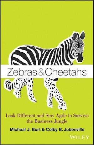 Zebras and Cheetahs