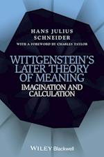Wittgenstein's Later Theory of Meaning