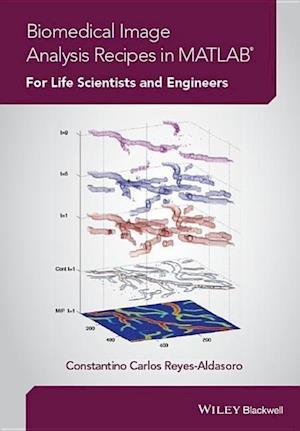 Biomedical Image Analysis Recipes in MATLAB