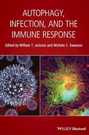 Autophagy, Infection, and the Immune Response