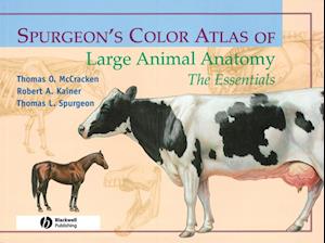 Spurgeon's Color Atlas of Large Animal Anatomy