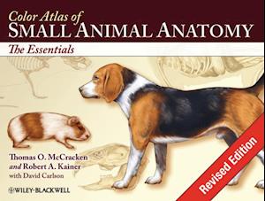 Color Atlas of Small Animal Anatomy