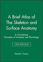A Brief Atlas of The Skeleton and Surface Anatomy to accompany Principles of Anatomy and Physiology, 14e