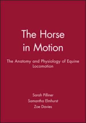 Horse in Motion