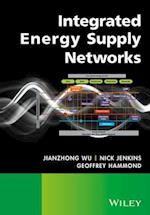 Integrated Energy Supply Networks