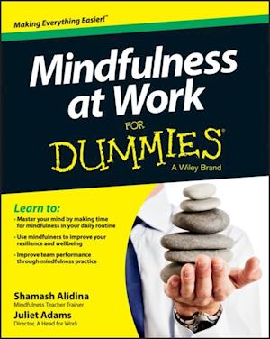 Mindfulness at Work For Dummies