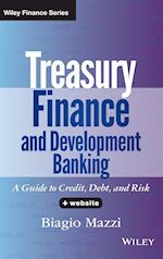 Treasury Finance and Development Banking + Website  – A Guide to Credit, Debt, and Risk