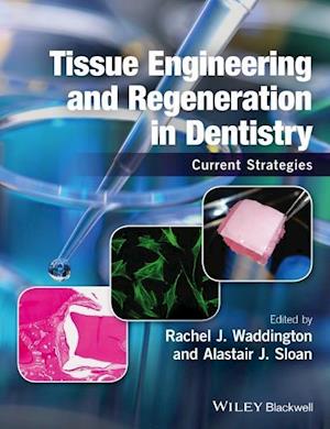 Tissue Engineering and Regeneration in Dentistry – Current Strategies