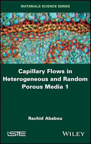 Capillary Flows in Heterogeneous and Random Porous Media