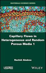 Capillary Flows in Heterogeneous and Random Porous Media