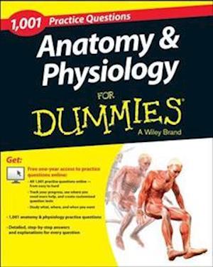 Anatomy & Physiology: 1,001 Practice Questions For Dummies (+ Free Online Practice)