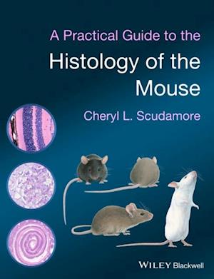 Practical Guide to the Histology of the Mouse