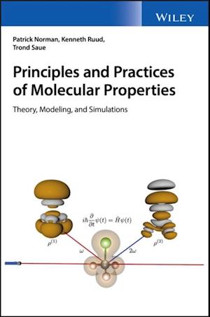 Principles and Practices of Molecular Properties