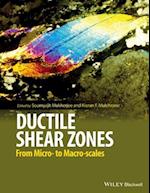 Ductile Shear Zones – from micro– to macro–scales