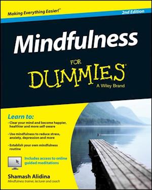 Mindfulness For Dummies