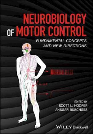 Neurobiology of Motor Control – Fundamental Concepts and New Directions