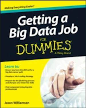 Getting a Big Data Job For Dummies