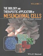 The Biology and Therapeutic Application of Mesenchymal Cells SET