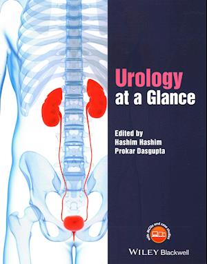 Urology at a Glance