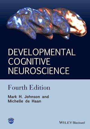 Developmental Cognitive Neuroscience – An Introduction, 4e