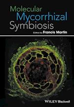 Molecular Mycorrhizal Symbiosis