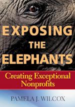 Exposing the Elephants – Creating Exceptional Nonprofits
