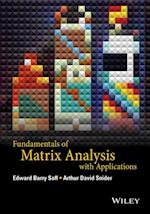 Fundamentals of Matrix Analysis with Applications