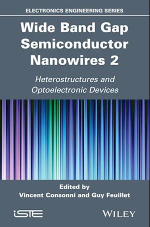Wide Band Gap Semiconductor Nanowires 2