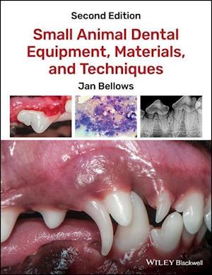 Small Animal Dental Equipment, Materials, and Techniques