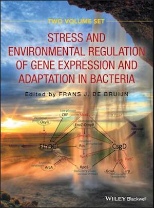 Stress and Environmental Regulation of Gene Expression and Adaptation in Bacteria