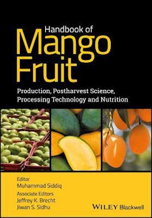 Handbook of Mango Fruit