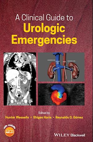 A Clinical Guide to Urologic Emergencies