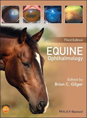 Equine Ophthalmology 3e