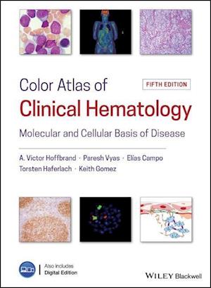Color Atlas of Clinical Hematology – Molecular and Cellular Basis of Disease