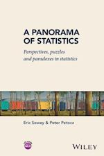 A Panorama of Statistics – Perspectives, Puzzles and Paradoxes in Statistics