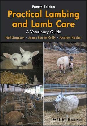 Practical Lambing and Lamb Care – A Veterinary Guide