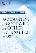 Accounting for Goodwill and Other Intangible Assets