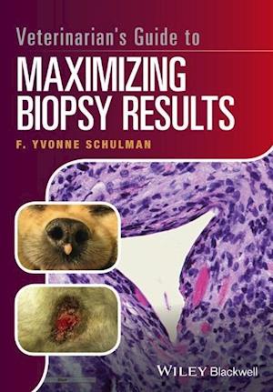 Veterinarian's Guide to Maximizing Biopsy Results