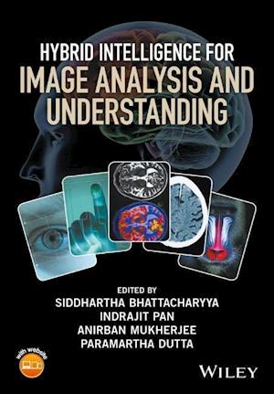 Hybrid Intelligence for Image Analysis and Understanding