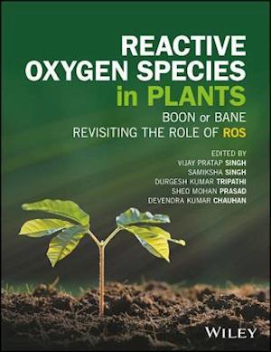 Reactive Oxygen Species in Plants – Boon Or Bane – Revisiting the Role of ROS