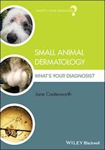 Small Animal Dermatology – What's Your Diagnosis?
