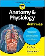 Anatomy & Physiology For Dummies, 3e