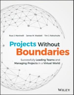 Projects Without Boundaries