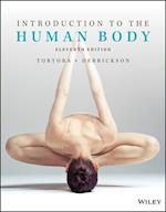 Introduction to the Human Body