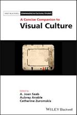 A Concise Companion to Visual Culture