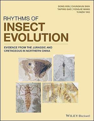 Rhythms of Insect Evolution – Evidence from the Jurassic and Cretaceous in Northern China
